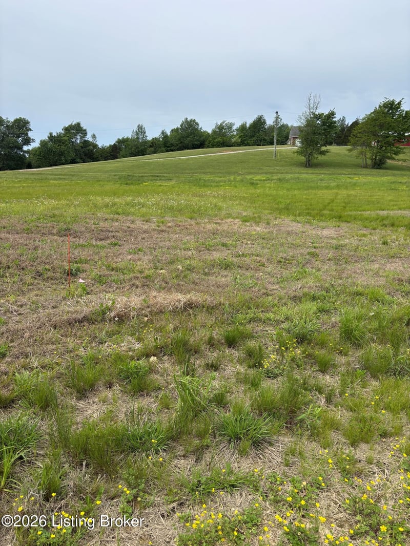 127 Kidd Ct, Lebanon Junction, KY 40150