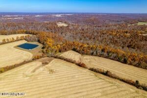 129 Henry Hathorne Ln, Rhodelia, KY 40161