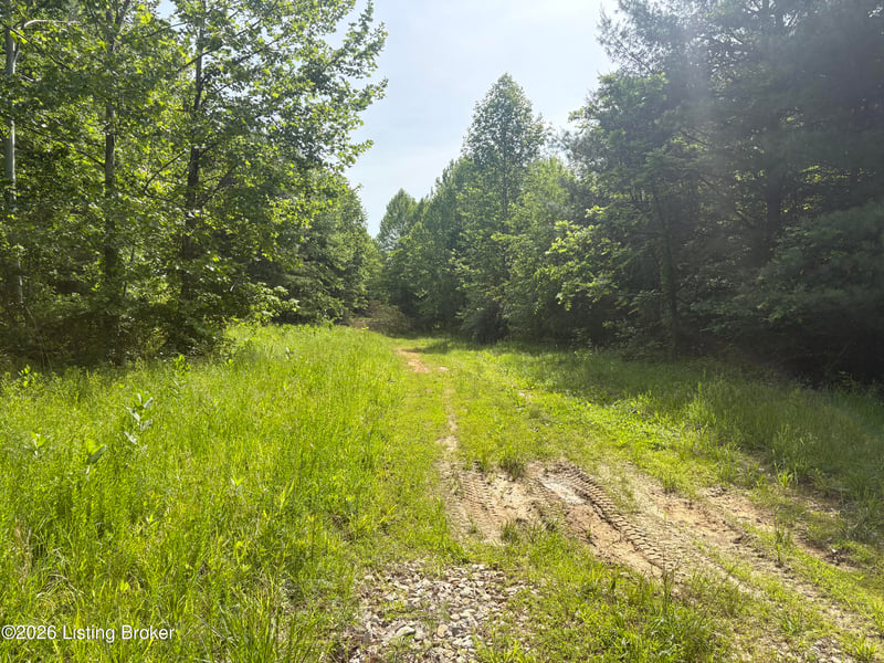 1298 Brier Fields Ln, Cloverport, KY 40111