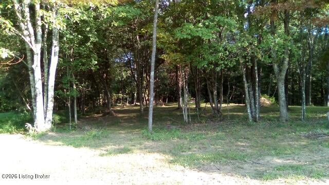 1310 Fox Cliff Rd, Leitchfield, KY 42754