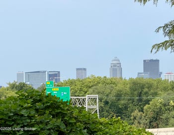133 Stevenson Ave, Louisville, KY 40206