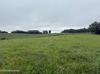 134 Conley Ave, Bloomfield, KY 40008