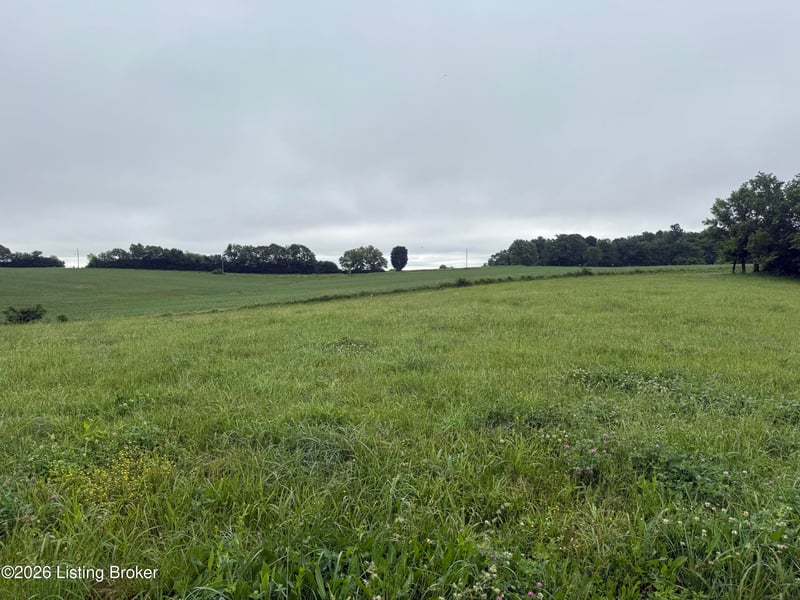 134 Conley Ave, Bloomfield, KY 40008