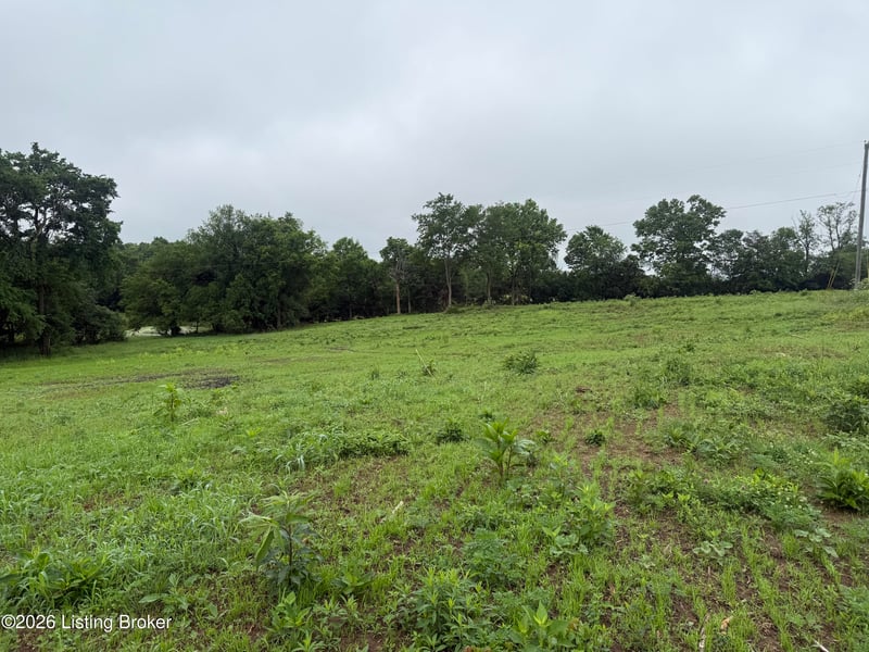 134 Conley Ave, Bloomfield, KY 40008