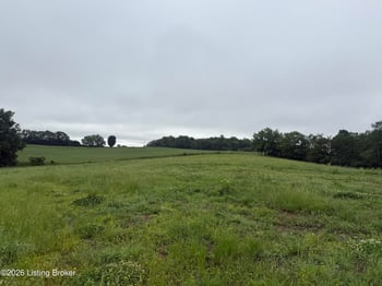 134 Conley Ave, Bloomfield, KY 40008
