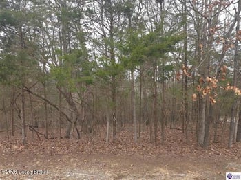 137 Primrose Ln, Brandenburg, KY 40108