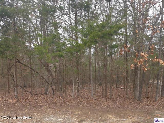 137 Primrose Ln, Brandenburg, KY 40108