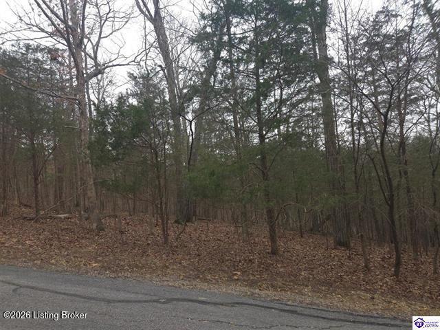 137 Primrose Ln, Brandenburg, KY 40108