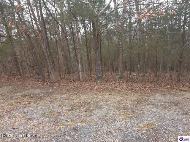 137 Primrose Ln, Brandenburg, KY 40108