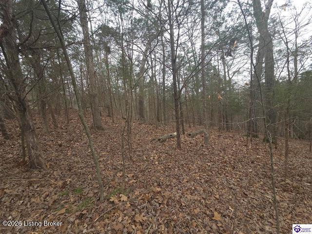 137 Primrose Ln, Brandenburg, KY 40108