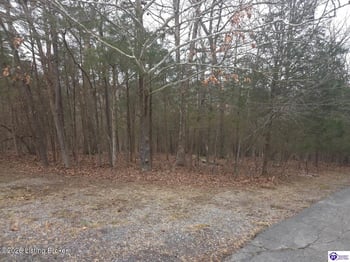 137 Primrose Ln, Brandenburg, KY 40108