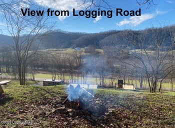 1381 Carlisle Rd, Carrollton, KY 41008