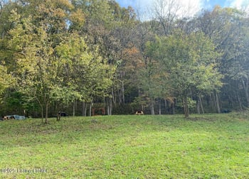 1381 Carlisle Rd, Carrollton, KY 41008