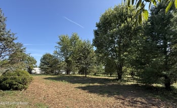 1388 J B Ball Ln, Webster, KY 40176