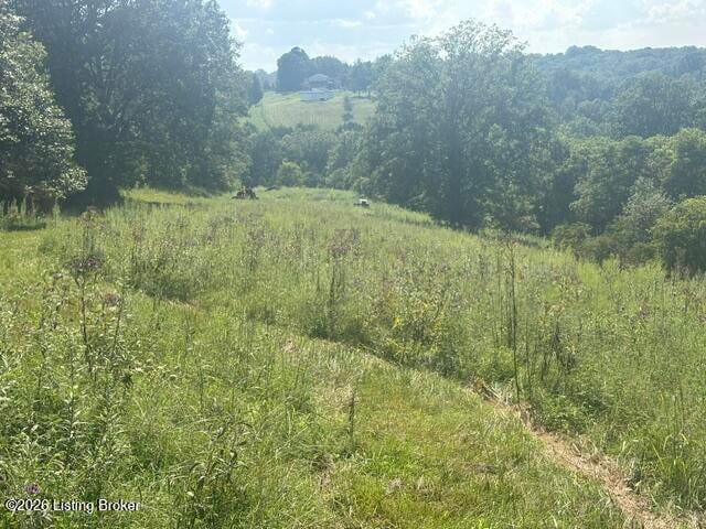 1390 Timber Creek Rd, Bloomfield, KY 40008