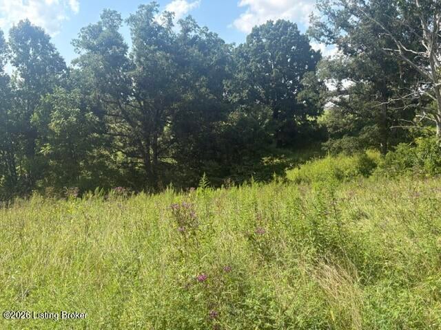 1390 Timber Creek Rd, Bloomfield, KY 40008