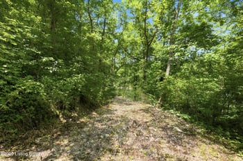 1411 Barebone Rd, Bedford, KY 40006