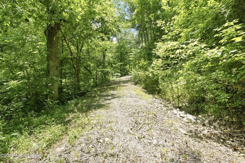 1411 Barebone Rd, Bedford, KY 40006
