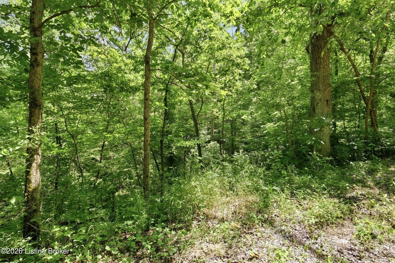 1411 Barebone Rd, Bedford, KY 40006
