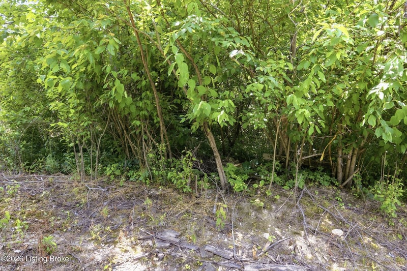 1411 Barebone Rd, Bedford, KY 40006