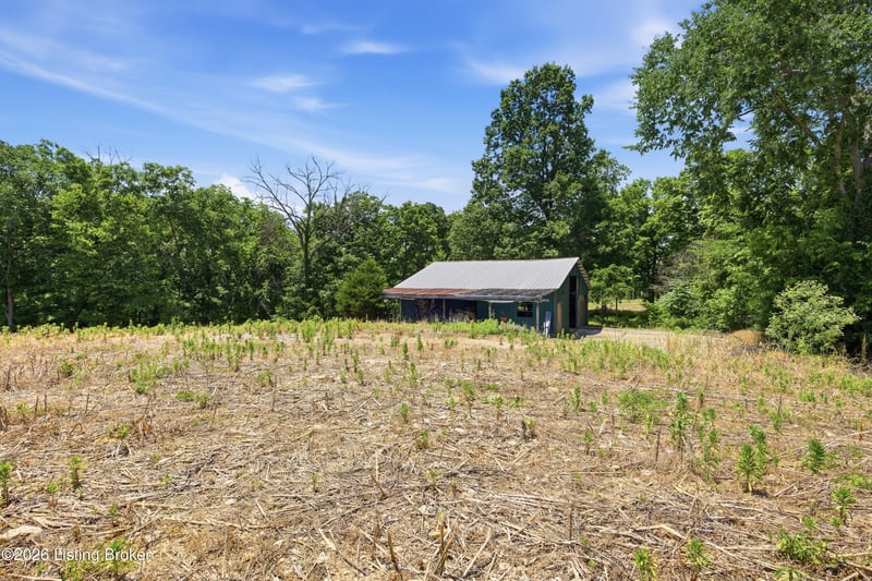 1411 Barebone Rd, Bedford, KY 40006
