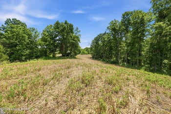 1411 Barebone Rd, Bedford, KY 40006