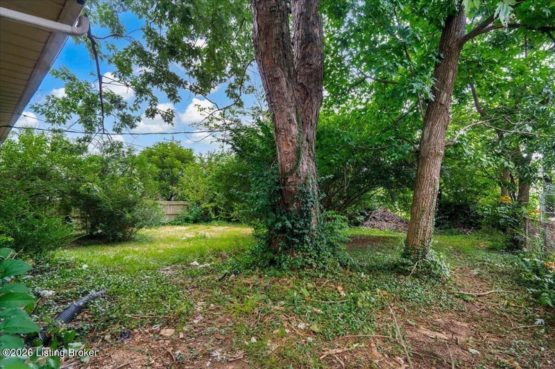 1417 Dale Dr, Lexington, KY 40517