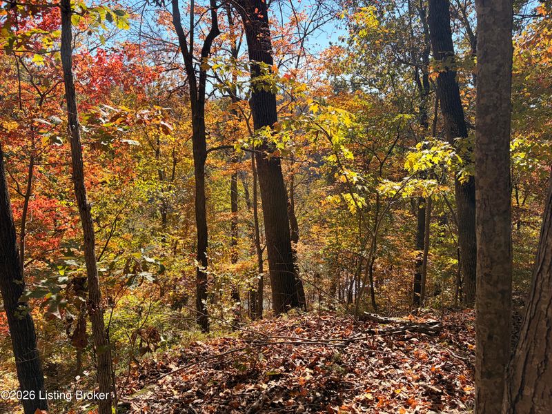 15 Edgewater Ln, Leitchfield, KY 42754