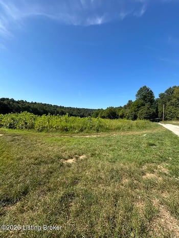 1505 Jarboe Sinks Rd, Rhodelia, KY 40161