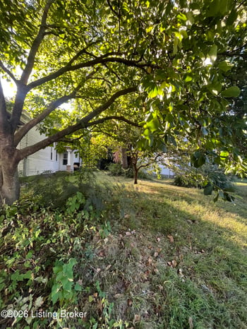 1513 Texas Ave, Louisville, KY 40217
