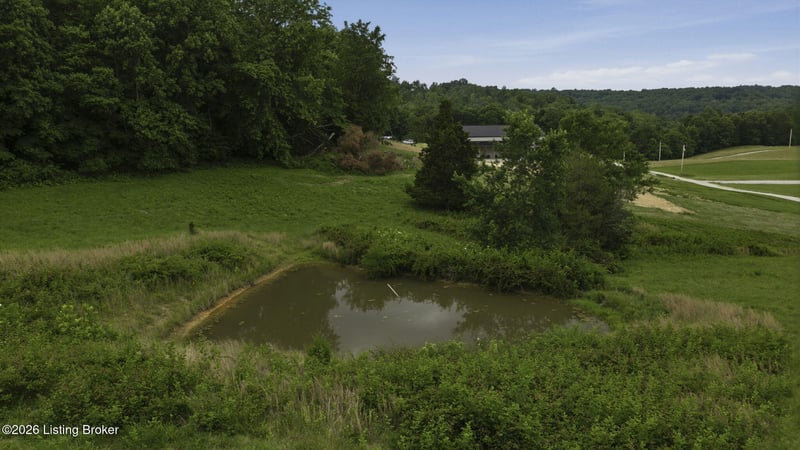 155 Turtle Cv Way, Clarkson, KY 42726