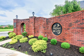 156 Goldeneye Ct, Shepherdsville, KY 40165
