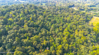 1560 Blue Fork Rd, Irvington, KY 40146