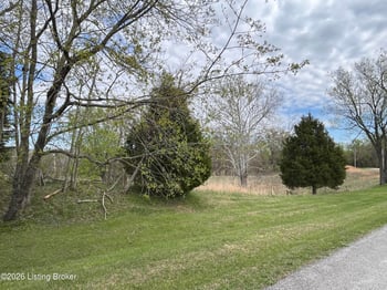 1568 Bray Ridge Rd, Bedford, KY 40006