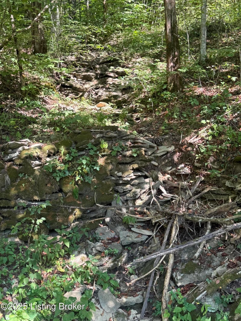 1588 Crooked Creek Rd, Lawrenceburg, KY 40342