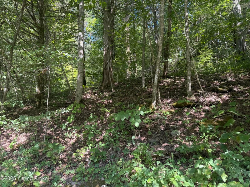 1590 Crooked Creek Rd, Lawrenceburg, KY 40342