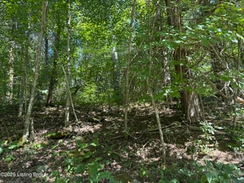 1590 Crooked Creek Rd, Lawrenceburg, KY 40342