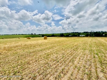1656-1 Old Perryville Loop, Springfield, KY 40069