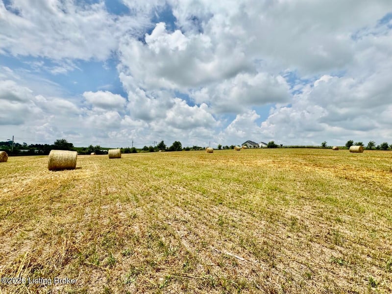 1656-1 Old Perryville Loop, Springfield, KY 40069