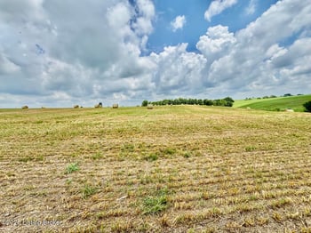 1656-2 Old Perryville Loop, Springfield, KY 40069