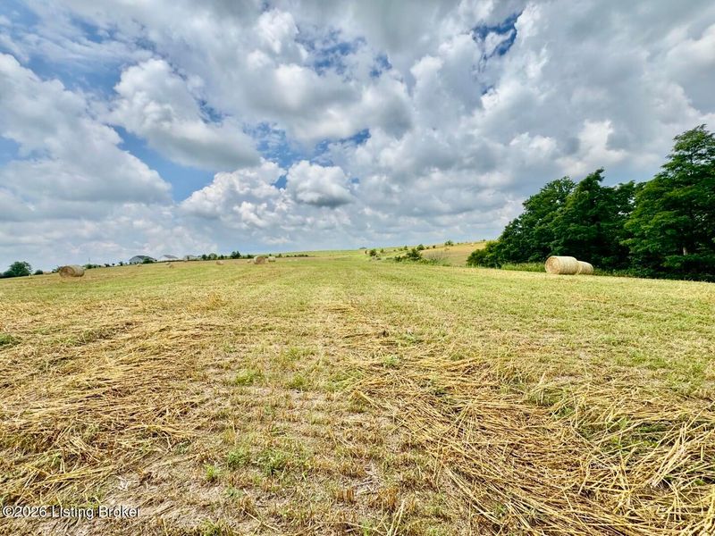 1656-3 Old Perryville Loop, Springfield, KY 40069