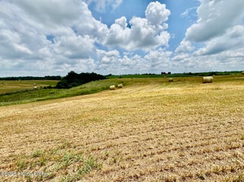 1656-3 Old Perryville Loop, Springfield, KY 40069
