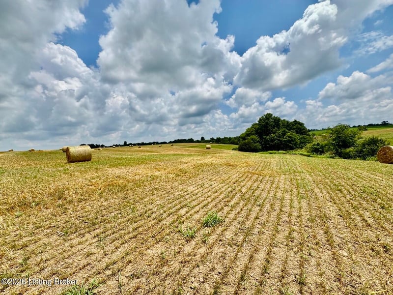 1656-3 Old Perryville Loop, Springfield, KY 40069