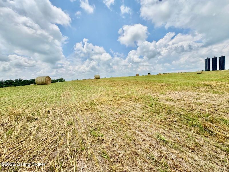 1656-4 Old Perryville Loop, Springfield, KY 40069