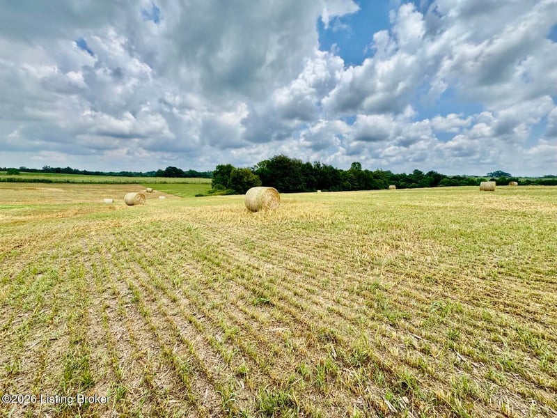 1656-4 Old Perryville Loop, Springfield, KY 40069
