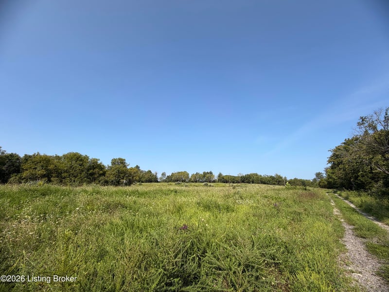 168 Wooded Ridge Rd, Sulphur, KY 40070