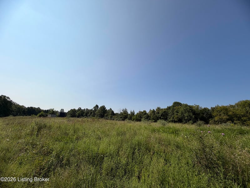 168 Wooded Ridge Rd, Sulphur, KY 40070