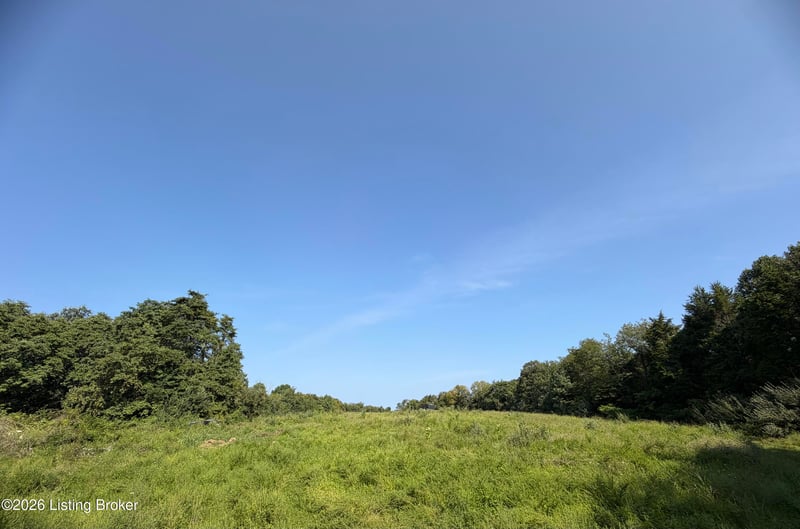 168 Wooded Ridge Rd, Sulphur, KY 40070