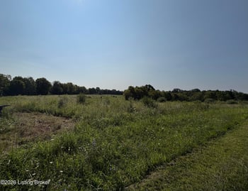 168 Wooded Ridge Rd, Sulphur, KY 40070