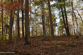 17 Fox Cliff Rd, Leitchfield, KY 42754